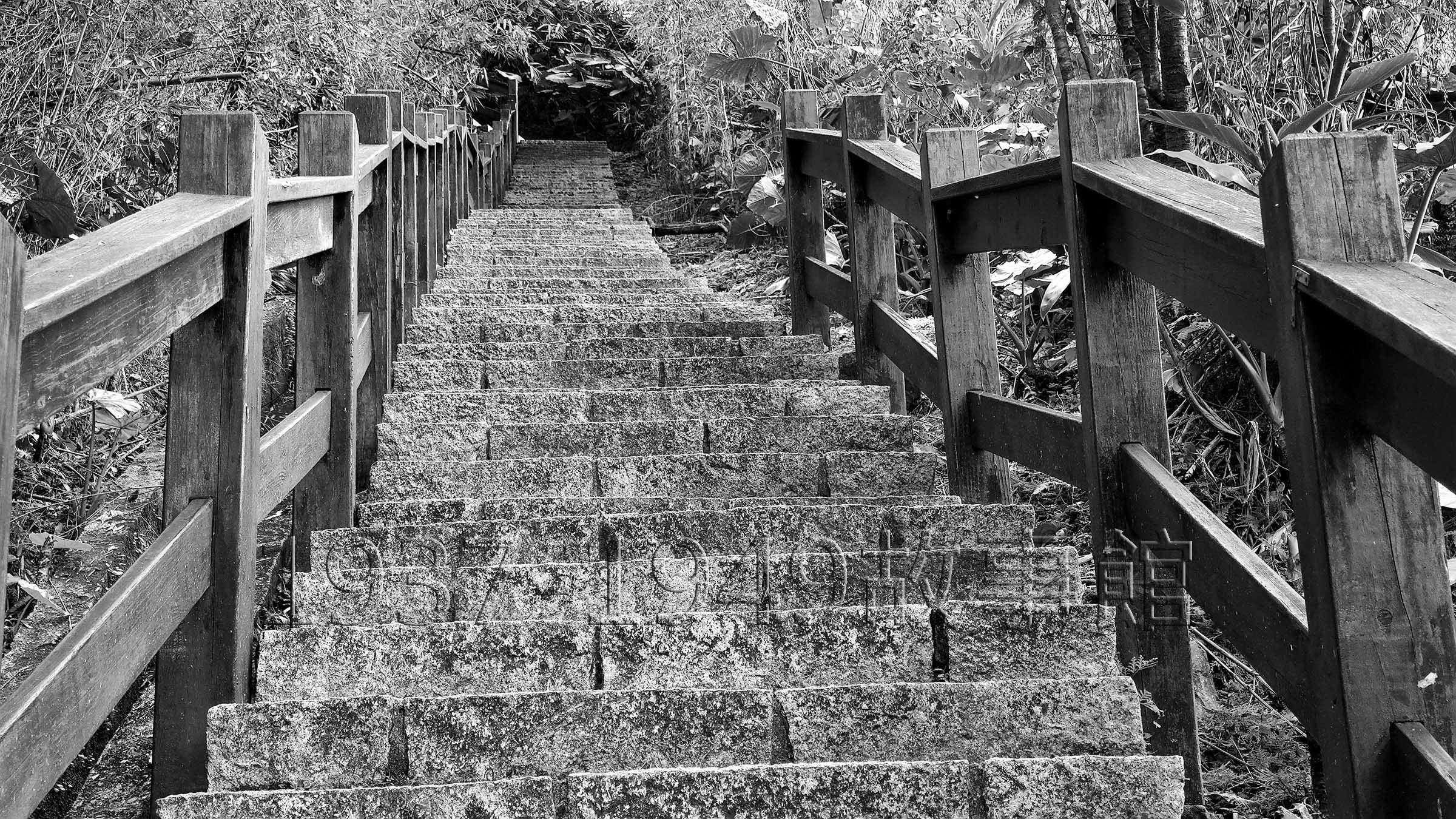 圖九 從公路通往戰俘營的石階梯。