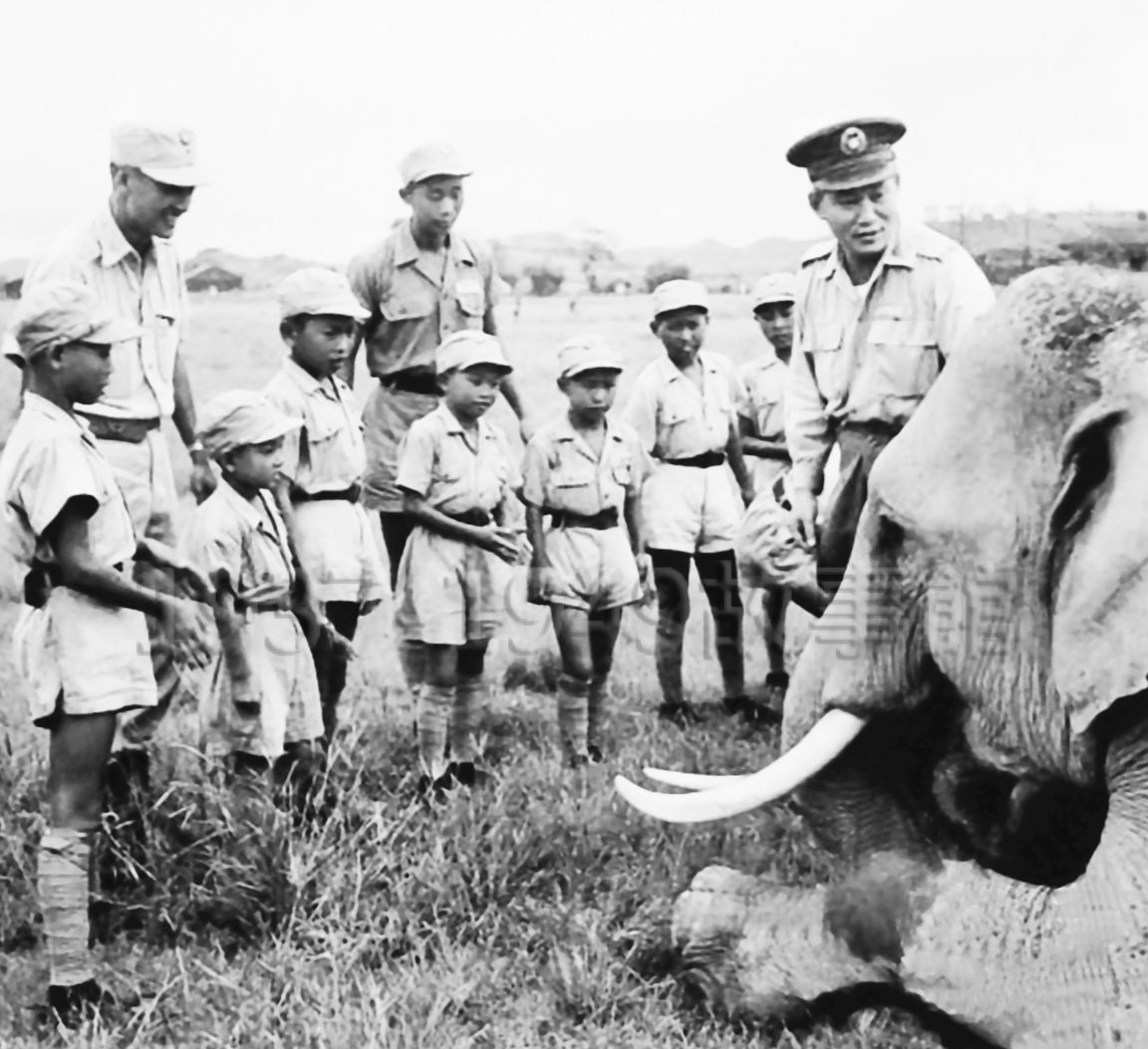 圖二　大象林旺在灣仔頭營區的玩伴幼年兵。（1951美國LIFE雜誌／羅廣仁典藏）