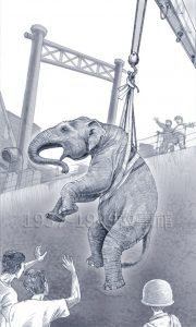 圖一　大象被吊上船好緊張，不停掙扎。